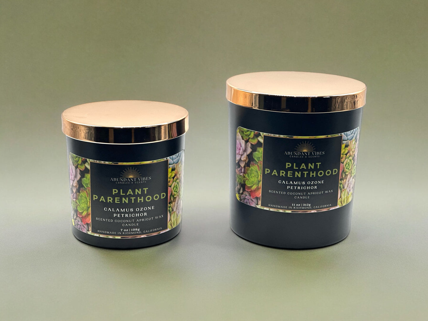 Calamus + Ozone + Petrichor Candle | Plant Parenthood | Luxury Coconut Apricot Wax Candle