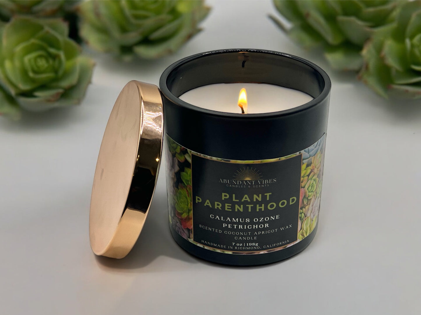 Calamus + Ozone + Petrichor Candle | Plant Parenthood | Luxury Coconut Apricot Wax Candle