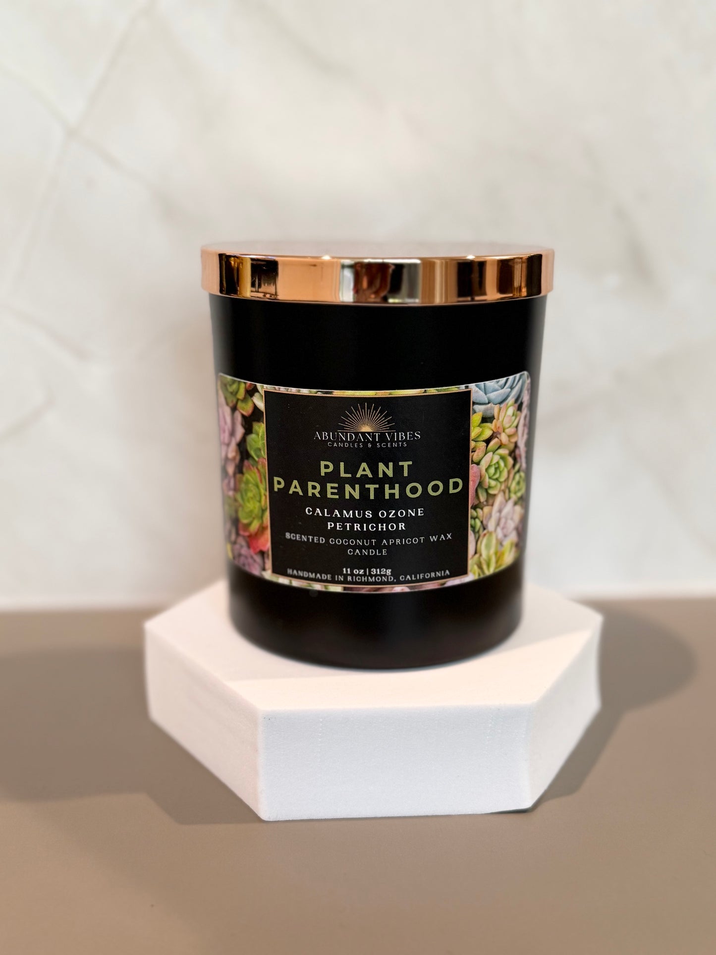 Calamus + Ozone + Petrichor Candle | Plant Parenthood | Luxury Coconut Apricot Wax Candle
