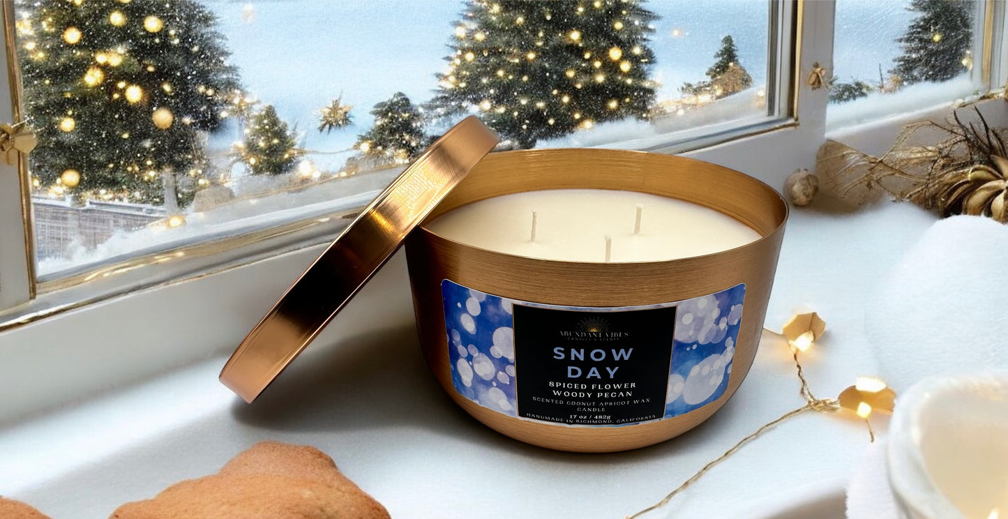 Spiced Flower + Peppermint + Cedarwood Holiday Candle | Snow Day | Luxury Coconut Apricot Wax Candle